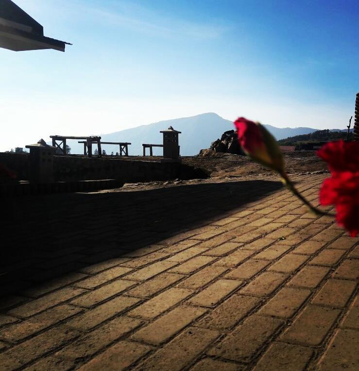 Bromo Otix Guest House Exterior photo