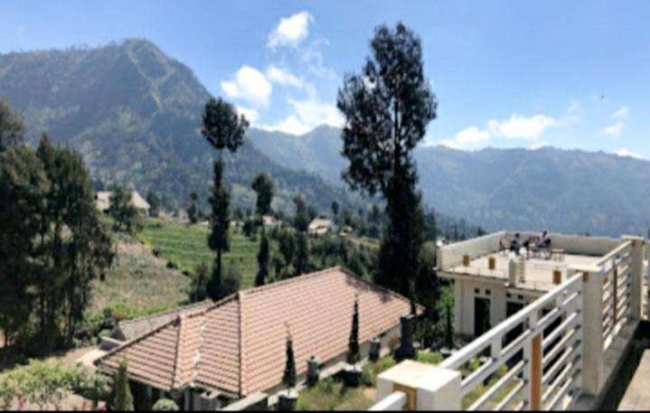 Bromo Otix Guest House Exterior photo